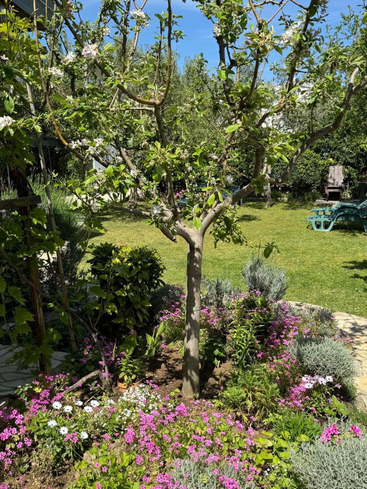 House K&k Holiday home Privlaka (Zadar)